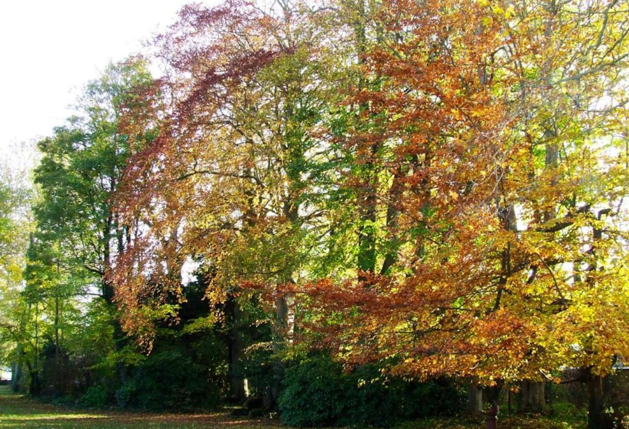 Maison Charmante A Ryes Avec Jardin Clos Et Acces Pmr Luaran gambar